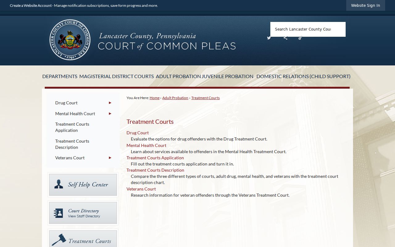 Lancaster treatment court information for Elizabethtown criminal cases